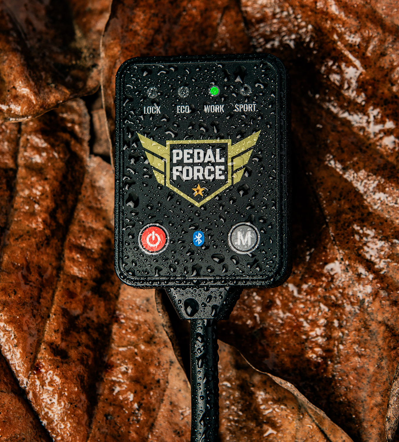 PEDAL FORCE - Imagen 5
